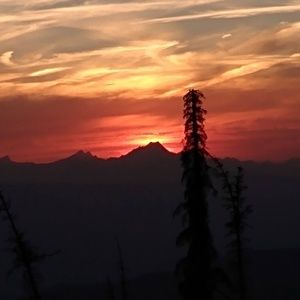 Meet your Posher, Jozlynn